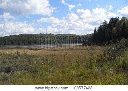 Small Lake