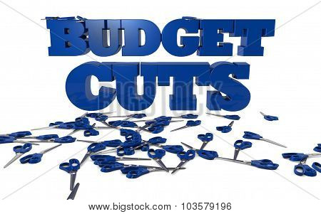 Budget Cuts and Austerity