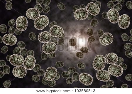 close up of meningitis bacteria also known as meningococcus 3D illustration