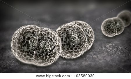 3D microscope close up of meningitis bacteria also known as meningococcus