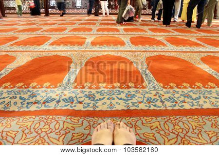 Suleymanie Mosque, istanbul.