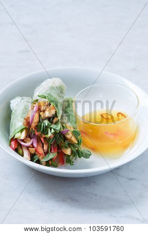 Mini asian canapes, fresh rice paper spring roll appetisers with grilled chicken and vegetables