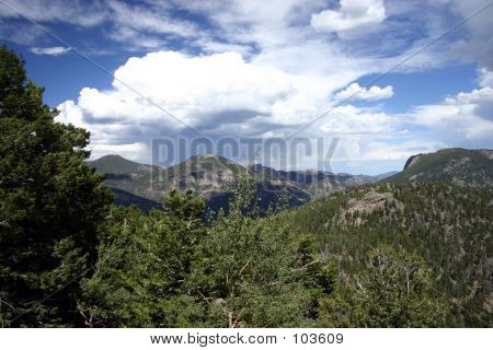 Rockies