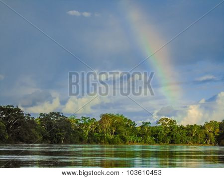Close up detail from the Rio Napo river