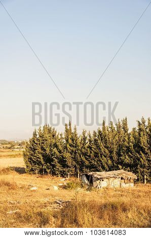 Rural Shanty House