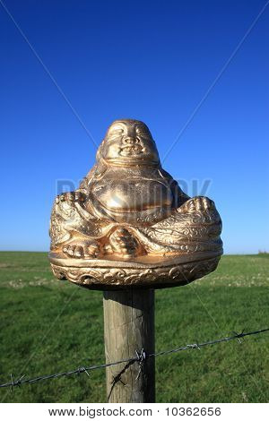 Золотой Будда сидит на заборе