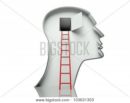 Open Door In Head And Ladder, Concept Of Open Mind