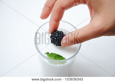 Hand Puts Blackberry In Glass Of Milk