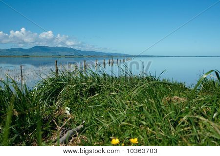 農村部の湖。