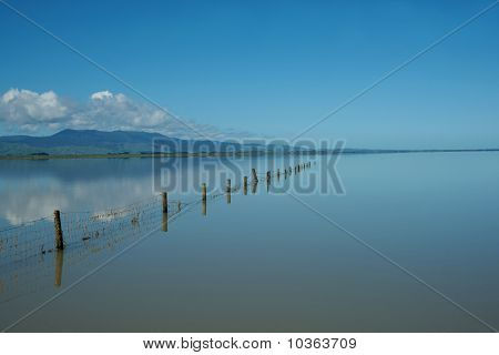 湖の眺め。