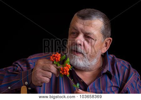 Portrait of a thoughtful senior man in striped shirt with small branch of Chinese Schizandra