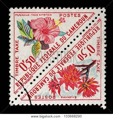 CAMEROON - CIRCA 1963: A stamp printed in Cameroon shows flowers with the inscription Hibiscus rosa sinensis and Erythrina, from the series Flowers, circa 1963