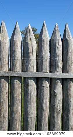 Limes palisade at Vielbrunn