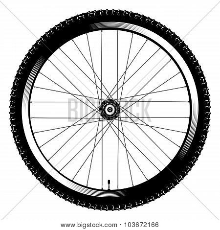 bicycle wheel