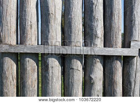 Limes palisade at Vielbrunn