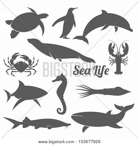 Sea animals minimal silhouette vector illustration