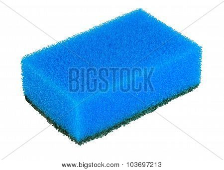 Sponge