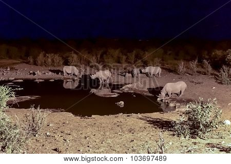 Watering Hole - Etosha, Namibia