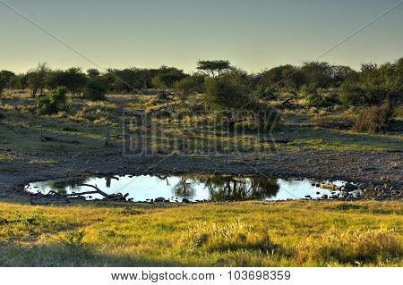 Watering Hole - Etosha, Namibia