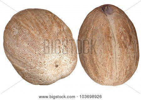 Nutmeg