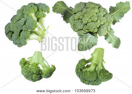 Broccoli
