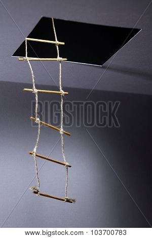 Rope Ladder