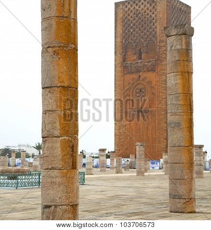 The   Chellah  In Morocco Africa  Old Roman Deteriorated Monument And Site