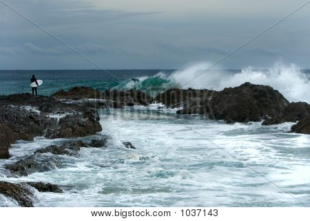 Snapper rocks