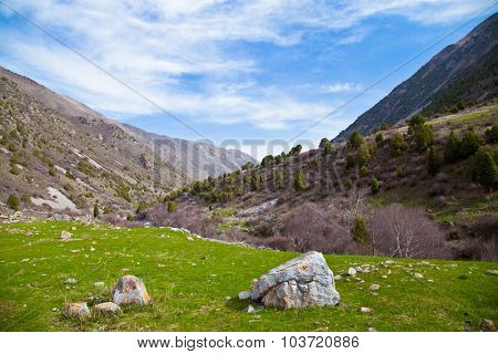 Landcscape hight mountains. Landscape in the fields.