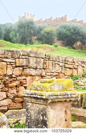 Chellah  In Morocco   Site