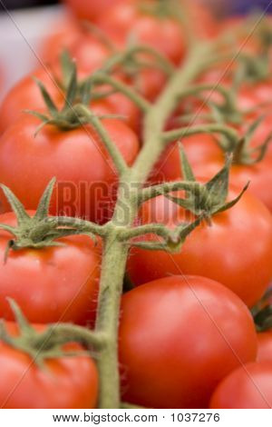 tomates