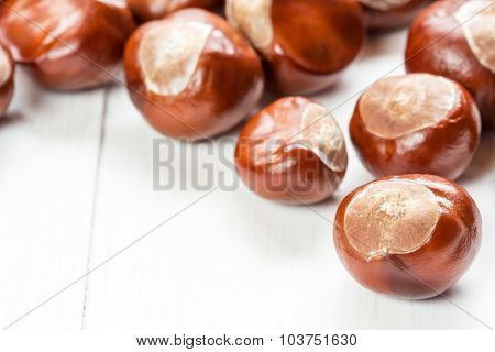 Fruit Chestnut On A Wood Background