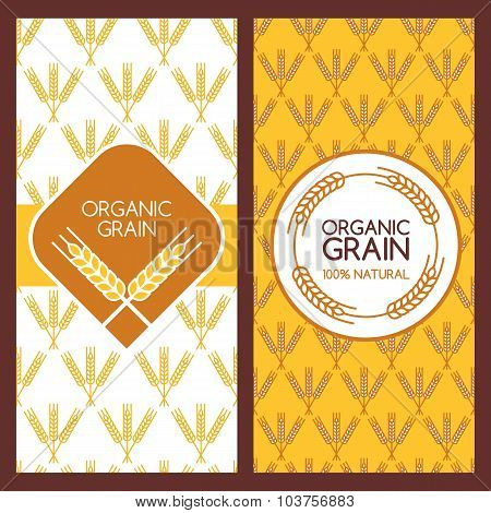 Set Of Vector Backgrounds For Banner, Label, Package Template.