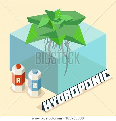 hydroponic farming system. Isometric vector illustration