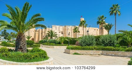 Behind The Palms