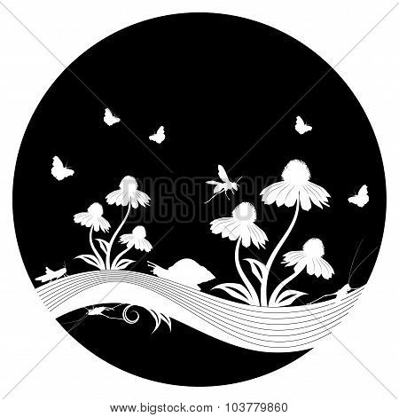Flowers And Insects