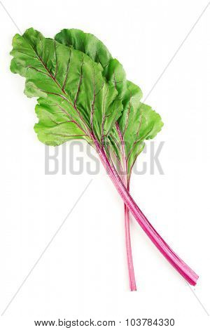 Fresh swiss chard, isolated on white
