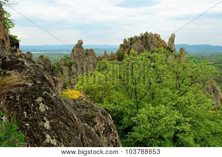Volcanic Rocks
