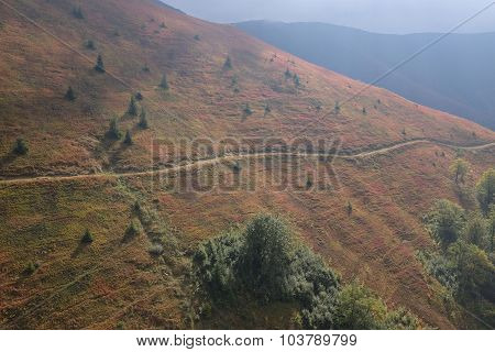 Autumn In Carpathian Mountains