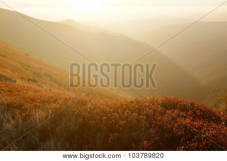 Autumn Evening In Carpathian Mountains