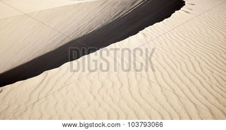 Sand Texture