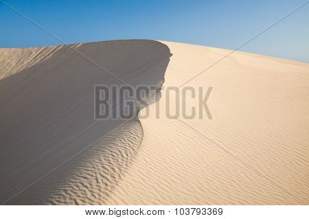 Sand Texture