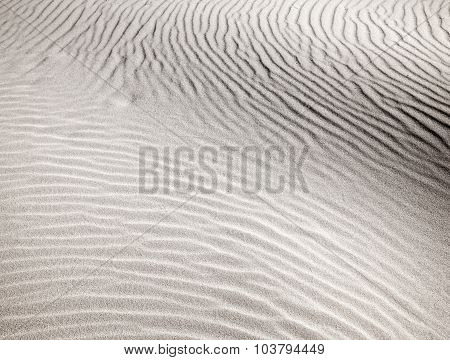 Sand Texture
