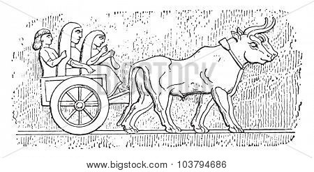 Assyrian cart, vintage engraved illustration.