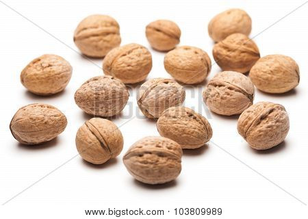 Walnuts (Juglans regia)