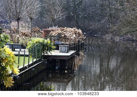 Winter Garden With Jetty
