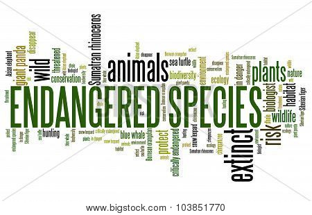 Endangered Species