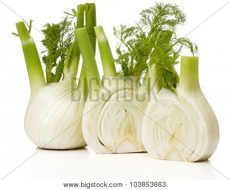 Fresh fennel bulb isolated on white background close up