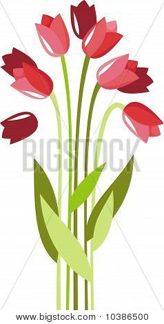Tulpen