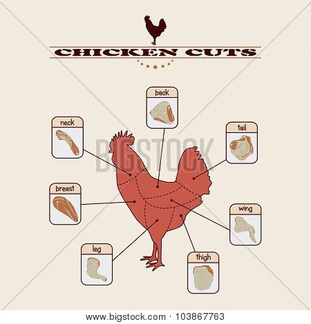 Chicken_cuts